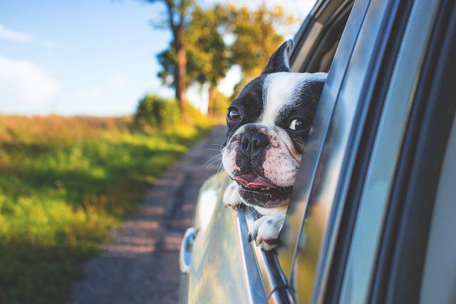 Ce qu’il faut prevoir pour un voyage en voiture