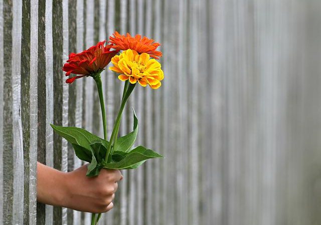 Que savoir des fleurs a offrir pour hommes